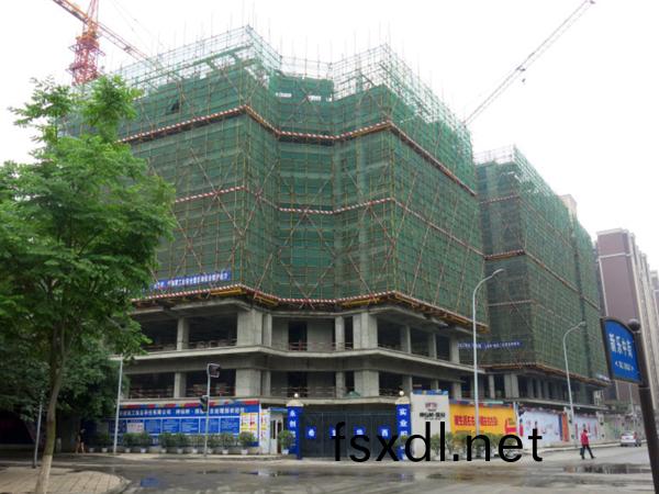 成都·神僊樹繽紛